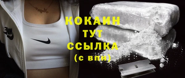 кокс Белокуриха